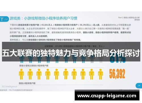 五大联赛的独特魅力与竞争格局分析探讨