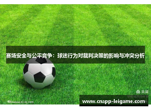赛场安全与公平竞争：球迷行为对裁判决策的影响与冲突分析