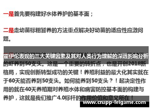 霍伊伦表现的三大关键因素及其对人类行为理解的深远影响分析 霍伊伦表现的三大关键因素及其对人类行为理解的深远影响分析