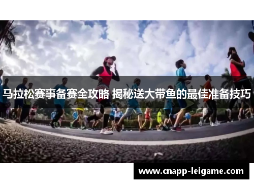 马拉松赛事备赛全攻略 揭秘送大带鱼的最佳准备技巧 马拉松赛事备赛全攻略 揭秘送大带鱼的最佳准备技巧
