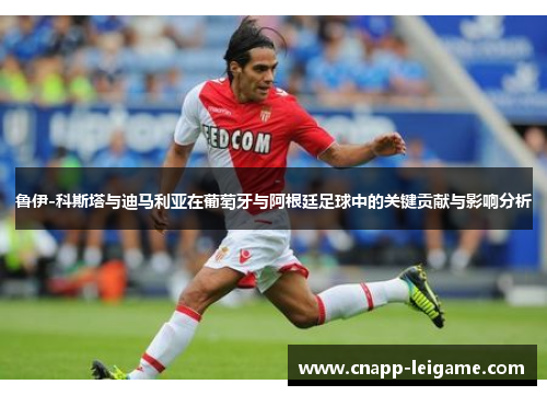 鲁伊-科斯塔与迪马利亚在葡萄牙与阿根廷足球中的关键贡献与影响分析 鲁伊-科斯塔与迪马利亚在葡萄牙与阿根廷足球中的关键贡献与影响分析
